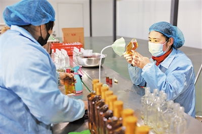現代枸杞產業 靈動釋放現代 因子